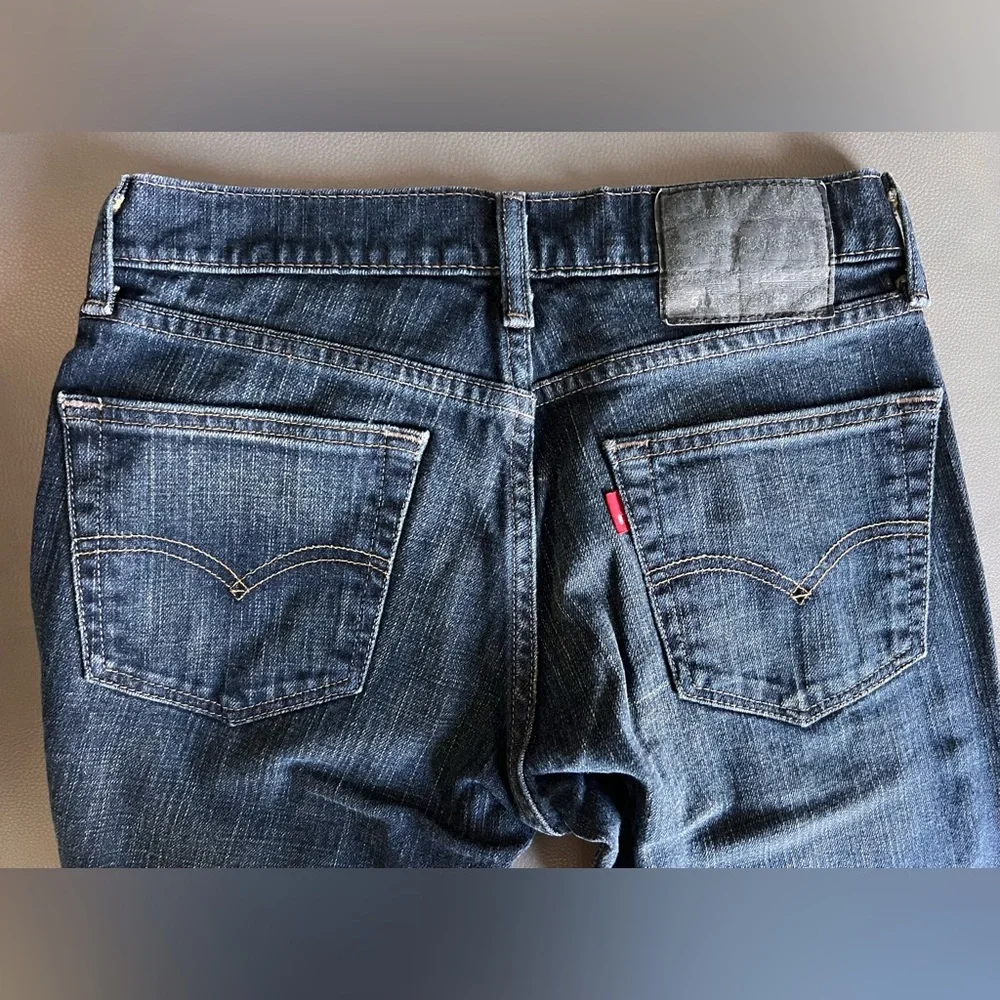 LEVI’s 511 Men’s SLIM FIT W29 x L30 #045114172